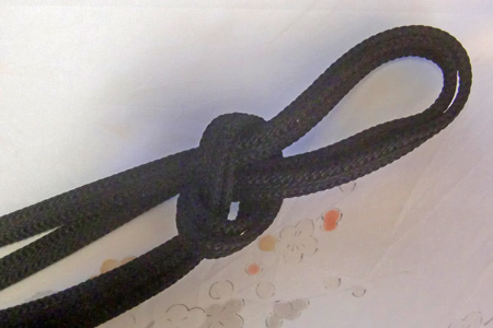 �v��������