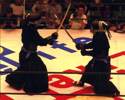 ��y���z�[���ɂČ�������